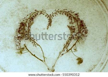 Blooming lilac wisteria flowers romantic heart shape on vintage background Blue Japanese wisteria formed as heart for wedding blog, birthday, valentine's day concept business, image with filter effect