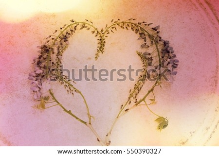 Blooming lilac wisteria flowers romantic heart shape on vintage background Blue Japanese wisteria formed as heart for wedding blog, birthday, valentine's day concept business, image with filter effect
