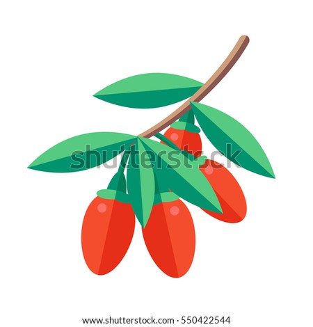 Goji berries vector illustration. Superfood wolfberry icon. Healthy detox natural product. Flat design organic food. Royalty-Free Stock Photo #550422544