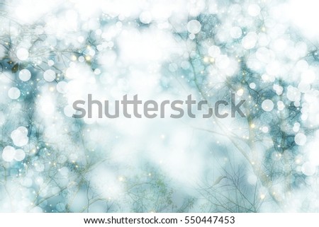 winter landscape with white tree and snow bokeh background 
