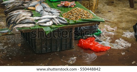 Various kind of fish sold in traditional market photo taken in Jakarta Indonesia