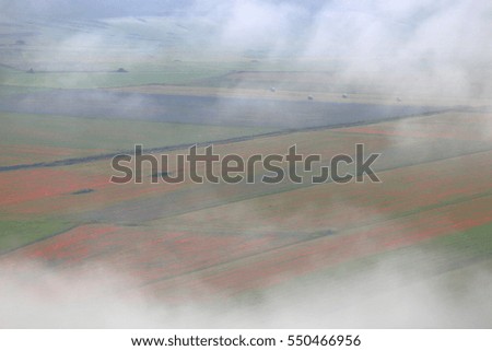 Morning mist cover floral fields on the "Great Plain" (Piano Grande), Sibillini National Park, region of Umbria, Italy