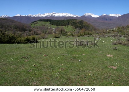 Early spring landscape in Italian mountains, green grass, blue sky and snowy mountain-tops.