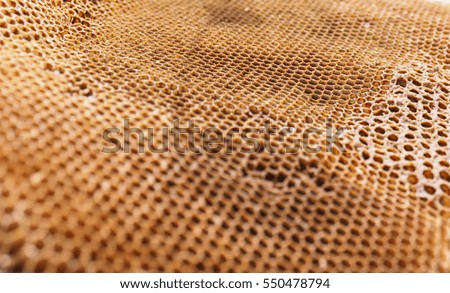 Abandoned honey comb from Star gooseberry that show the detailed of hexagon lines. Picture from Thailand country.