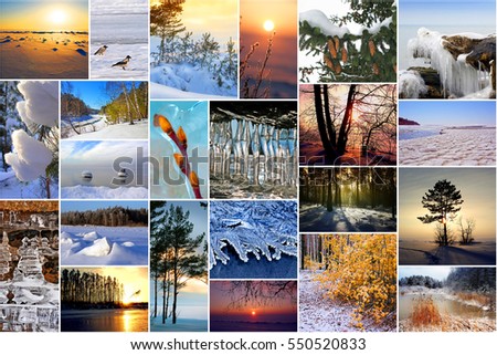 Winter in nature, Siberia, Novosibirsk oblast, Russia. A collage of photos