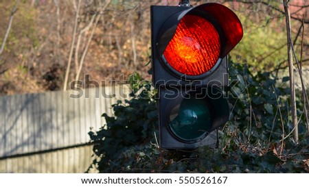 traffic red light in a bush 