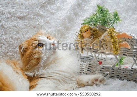Cute Christmas cat with angel