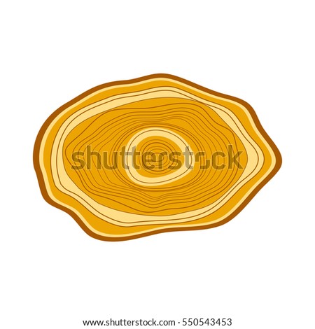 Tree wood slices vector.