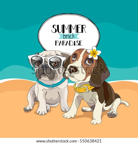 Puppies Pug and Beagle in a glasses and with a flower on a beach background. Vector illustration.