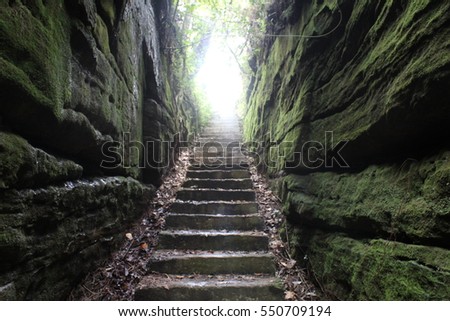 The path to paradise!  Royalty-Free Stock Photo #550709194