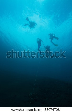 divers on the surface