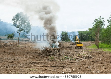 A tractor working in a rubber plantation