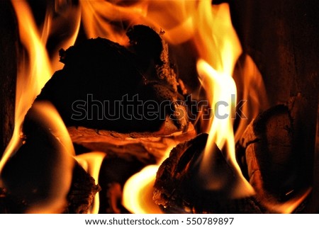 Burning wood in the small fireplace