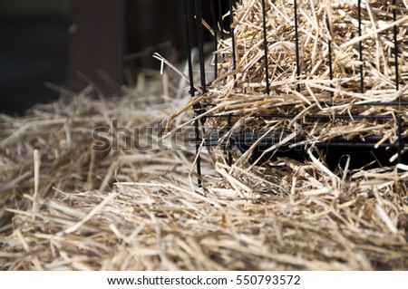Picture of Patio: empty Stack of Hay bale for background (for product display)