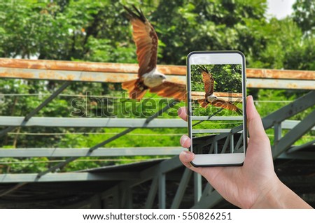 Mobile Phone white screen background eagle.