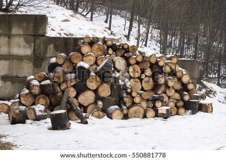 Big pile of firewood