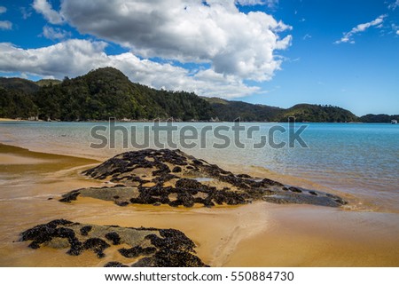 Beautiful ocean landscape with rocks covered in shells of black mollusk muscles, Abel Tasman National Park, New Zealand