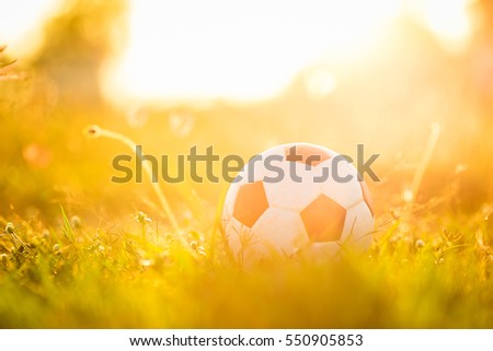 A ball on the grass in the morning sunshine day. Picture for soccer football and sport concept.