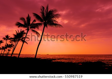 Kona sunset against palm trees on the Big Island Hawaii