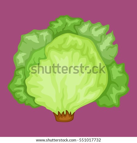 Cartoon Illustration of an Iceberg Lettuce Royalty-Free Stock Photo #551017732