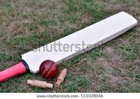 Cricket bat, ball and bails on cricket pitch