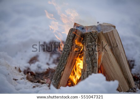 fire in nature. Bonfire in the forest. Winter forest
