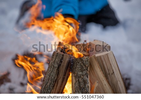fire in nature. Bonfire in the forest. Winter forest