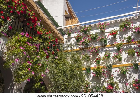Traditional courtyard with colorful flowers in Cordoba , Spain during the Festival of the Patios (Festival de los Patios Cordobeses). The historic centre was named a UNESCO World Heritage Site