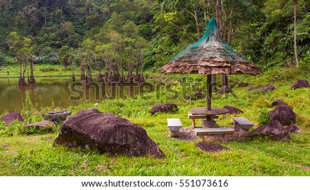 Gazebo with a bench on the shore of lake. Mangrove forest greenery. Tropical nature view. Untouched wild jungle and camp place. Outdoor tourism in Asia. Summer vacation travel image. Tropics ecosystem