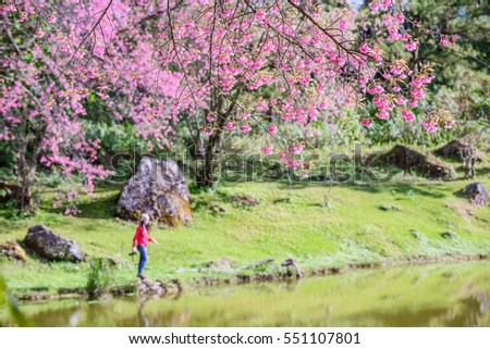 Cherry blossoms flower and blur woman with camera in background
