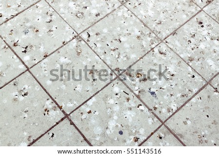 Sham of dove on the cement floor. Background and pattern picture
