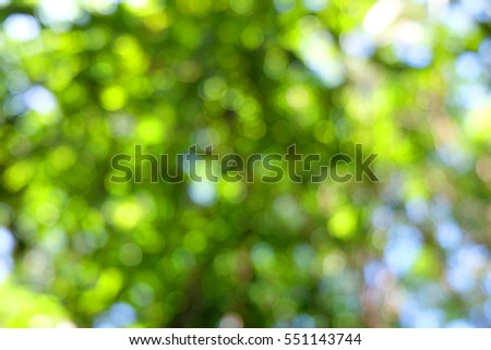 bokeh of tree background