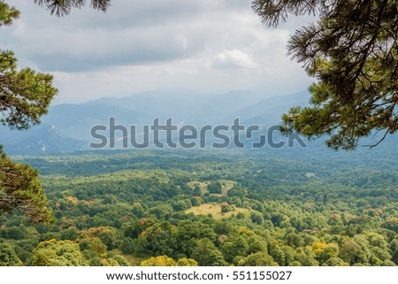 Scenic landscape with mountain forest