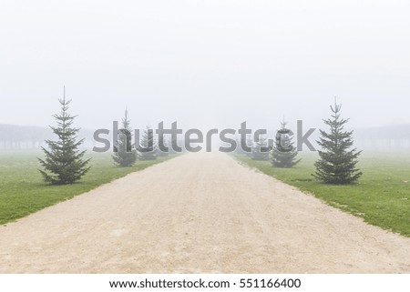 Street in foggy morning