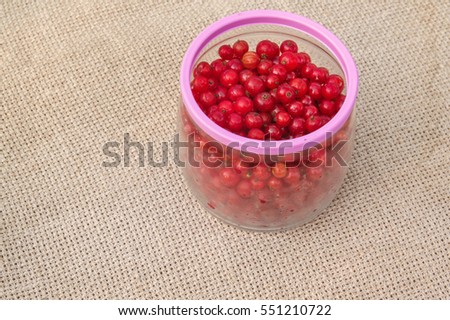 Red currants   in glass jarl on canvas