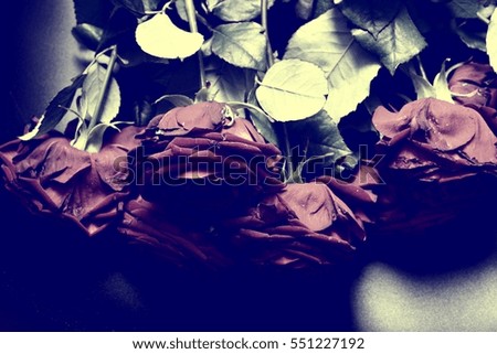 Arrangement of red blooming roses. Romantic bouquet with withering flowers for birthday gift, mothers day, valentines love present, wedding and bridal decoration. Image with vintage filter effect.