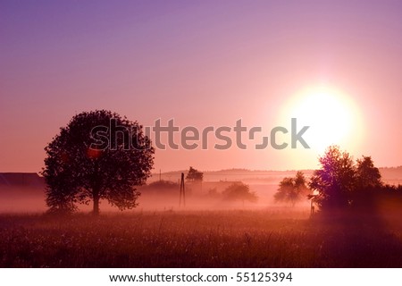 Nature. Picture of sunrise in summer rural.