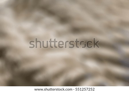 Zoo theme creative abstract blur background with bokeh effect