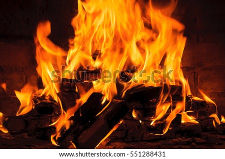 burning logs in the fireplace