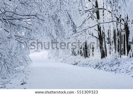 Beautiful winter scenery road in Carpathian mountains near Bratislava, Slovakia
