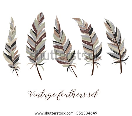 Vintage feathers set. Five elegant feathers of boho style on a white background.
