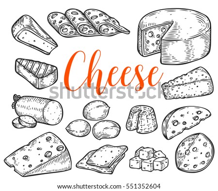 Cheese organic milk butter fresh food vector hand drawn illustration set, menu label, banner poster identity, branding. Stylish design with sketch illustration of Cheese variations cuisine sketch. Royalty-Free Stock Photo #551352604
