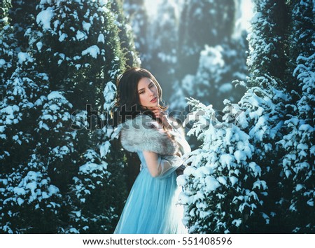 Young brunette girl is in blue vintage dress. The lady walks in the winter garden. On the branches of trees, snow and frost. Beautiful scenery, fantastic picture. Creative colors