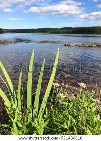 Shoreline picture of nature along fishing river.