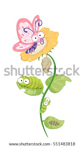 Cute and Colorful Illustration Demonstrating the Life Cycle of a Butterfly
