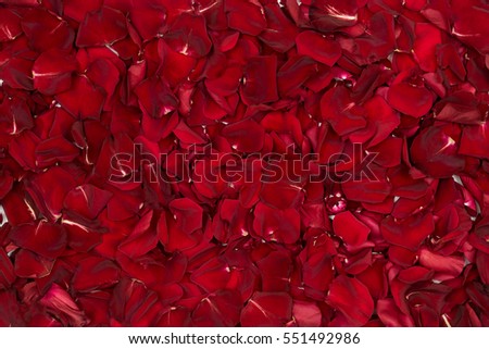Background of Red rose petals