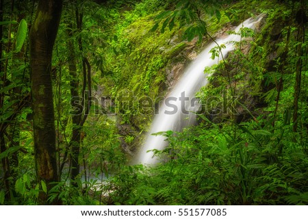 Beautiful tranquil and peaceful waterfall in Costa Rica, manuel antonio park, strong and green falls landscape surrounded by green trees