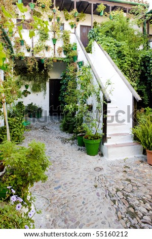 patio (courtyard), Cordoba, Andalusia, Spain