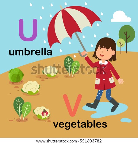 Alphabet Letter U-umbrella,V-vegetables,vector illustration