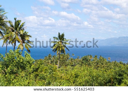 Landscape with palm tree and sea. Blue sky view with coco palm trees. Romantic image of palm tree leaves. Exotic landscape summer picture. Exotic island tourist banner template or card background 